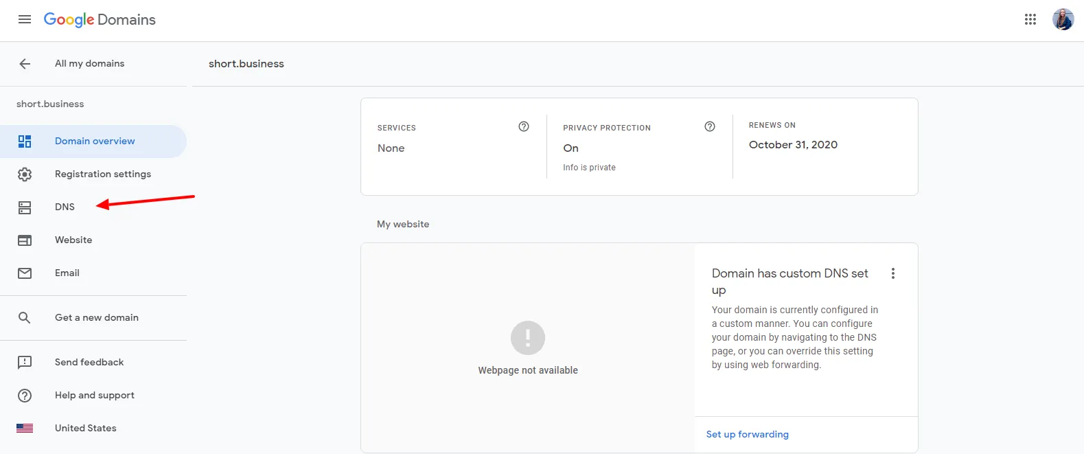 Short.cm DNS google domains